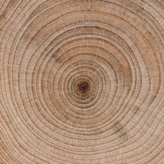 Solución económica y sencilla para revestir tus escalones con madera y darles un aspecto renovado